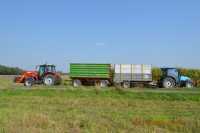 MF5435 , Landini Alpine 70 & Taczki