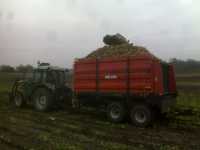 DF Agroplus 67 & MF