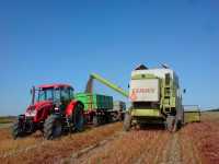 Zetor Forterra 115 + Reisch + Sanok & Claas Dominator 112 CS