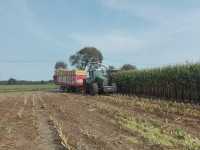 Fendt 828 & pottinger europrofi 5000