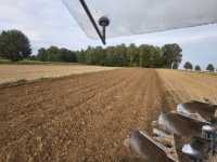 Pod rzepak Pod rzepak