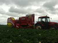 GRIMME SE140 GRIMME SE140