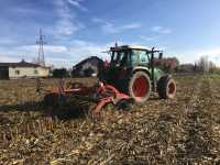 Horsch Joker 4ct