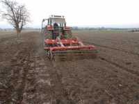 Grano Potenza Grano Potenza