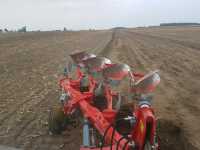 Ibis XXLS 4+ Ibis XXLS 4+