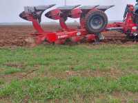 Ibis xxls 4+ Ibis xxls 4+